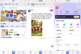 搭子陪玩系统源码小程序+H5功能超多带社群圈子陪玩点单服务