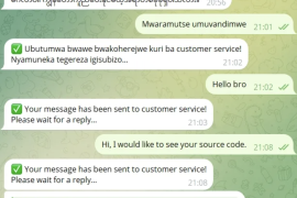 Telegram AI全自动翻译客服机器人源码/带视频搭建教程