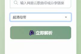 扣扣网易音乐解析UI模版 自适应双端