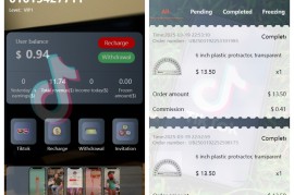 新版本海外tiktok多语言抢单系统源码/带文本搭建教程